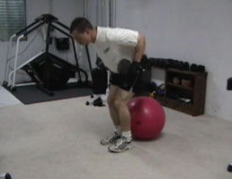 Two Dumbell Rows