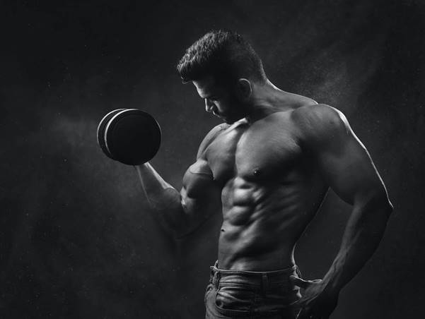 CBD and Muscle Building