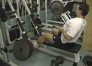 Seated Cable Rows