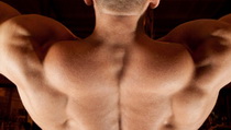 Traps and Neck - 24 Exercises