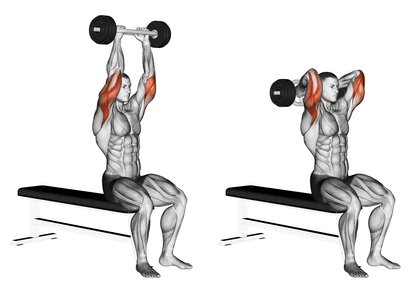 What is a French Curl for The Triceps?