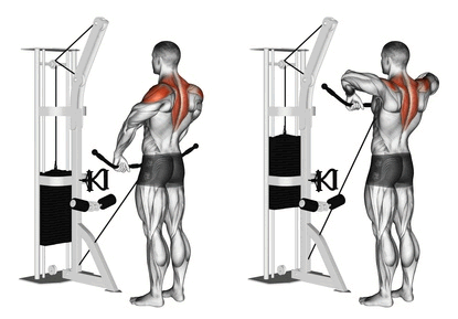 Are Upright Rows a Good, Safe Exercise for Shoulders?