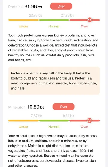 BodyPedia Smart Body Composition Scale Review Results