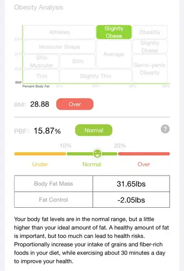 BodyPedia Smart Body Composition Scale Review Results