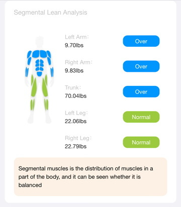 BodyPedia Smart Body Composition Scale Review Results