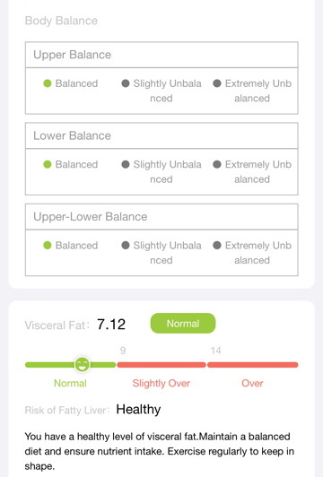 BodyPedia Smart Body Composition Scale Review Results