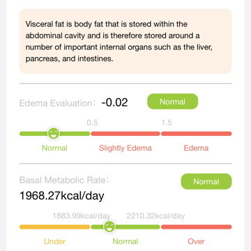 BodyPedia Smart Body Composition Scale Review Results