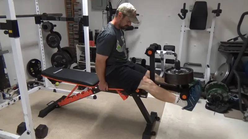 Trainnox DAV Bench Review