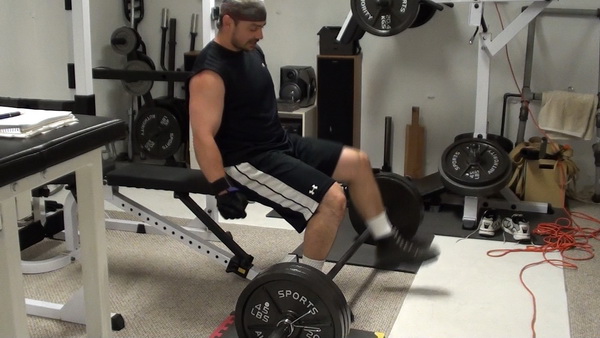 Seated Barbell Shrugs for Bigger Traps and Upper Back and Better Posture