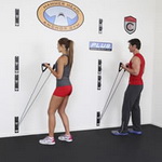 Hammerhead Anchor Gym Review