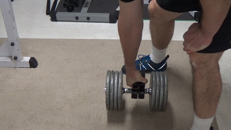 Double Swissie One Arm Dumbbell Rows