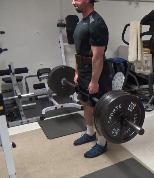 Stiff-Legged Deadlifts (or regular Deadlifts)