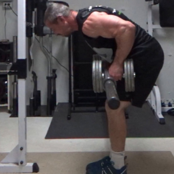 Barbell on Dumbbell Rows