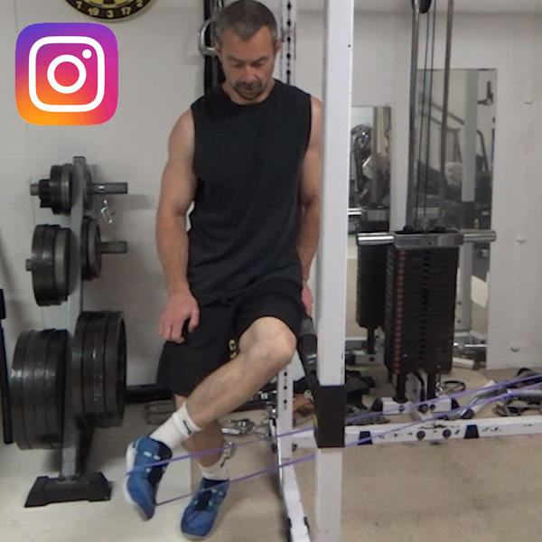 Braced Sartorius Hip External Rotations