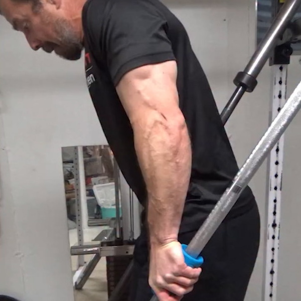 Two Vertical Bar Dips for Lower Chest