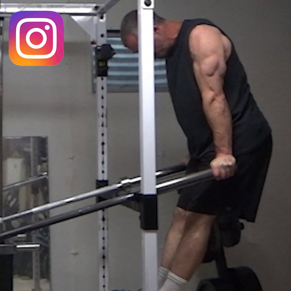 Fat End Rotating Grip Chest Dips