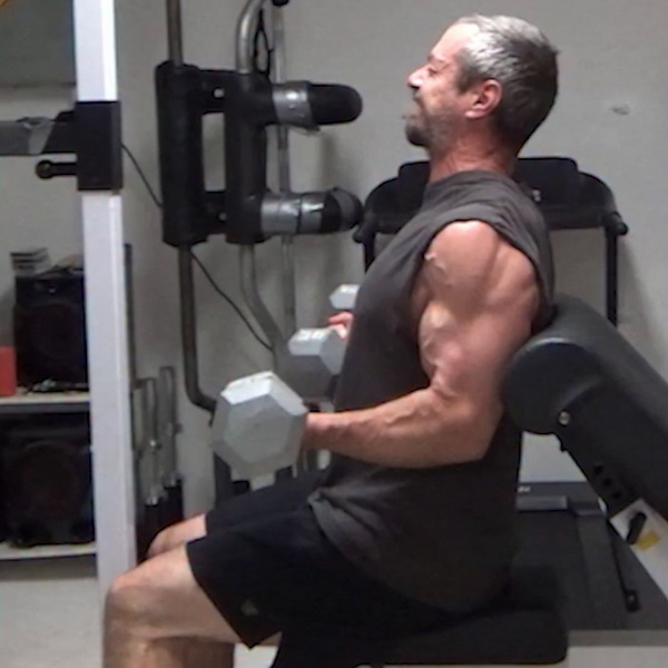 Preacher Bench Arm Blaster Curls