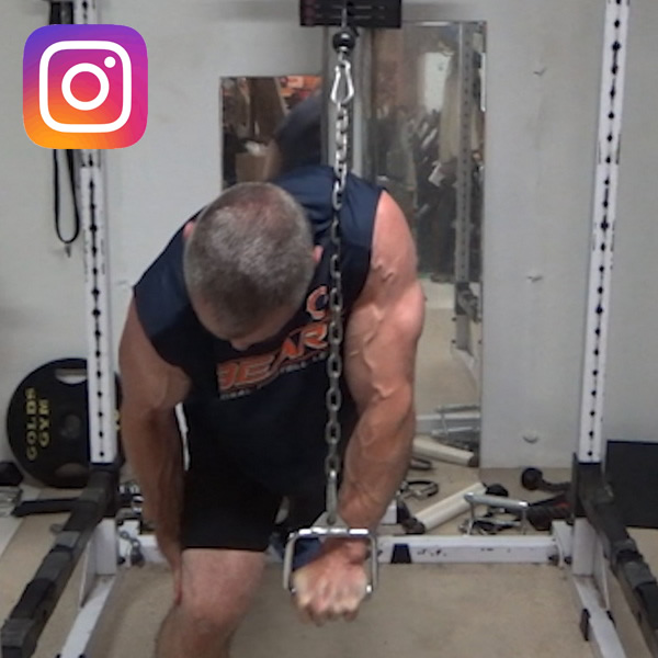 Cable Crunch Single Arm Push-Pulls